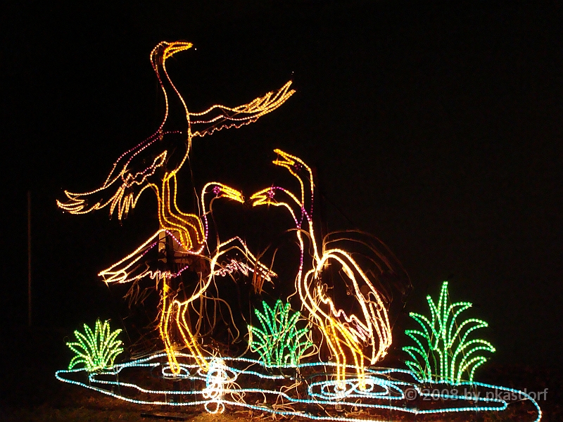 049 Toledo Zoo Light Show [2008 Dec 27].JPG - Scenes from the Toledo Zoo Light Show.